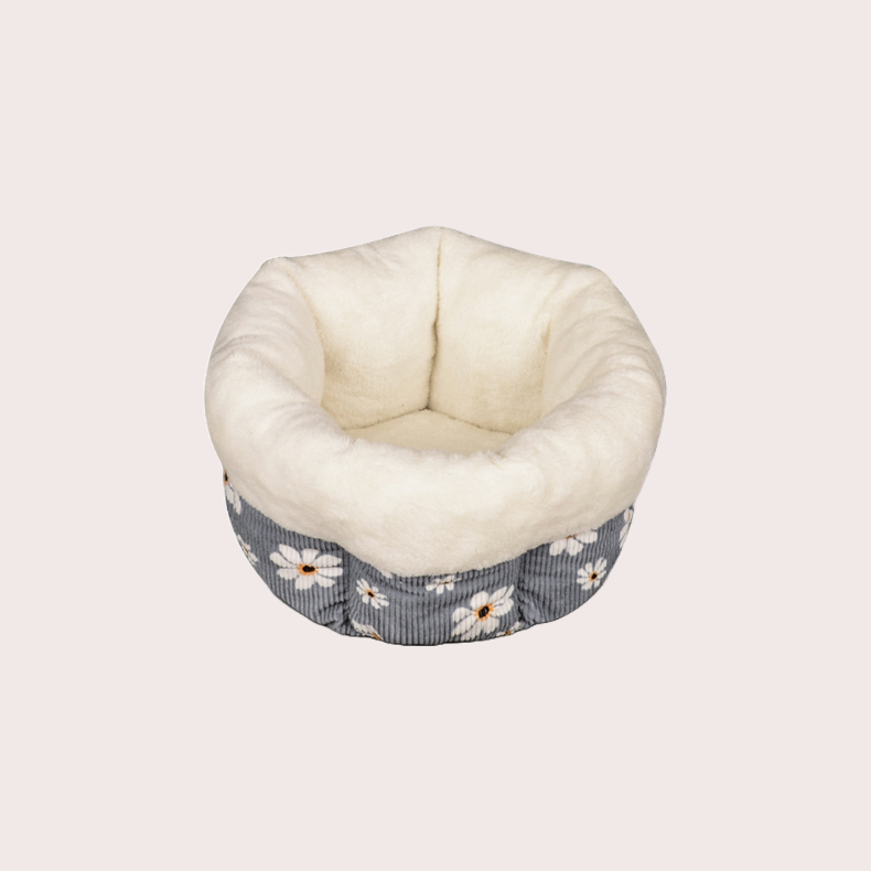 Théodore Max & Minette